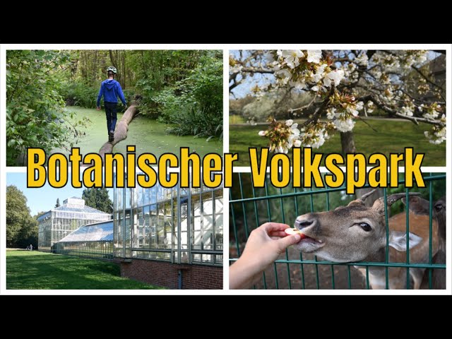 Wildtiergehege im Botanischen Volkspark – Bild 3