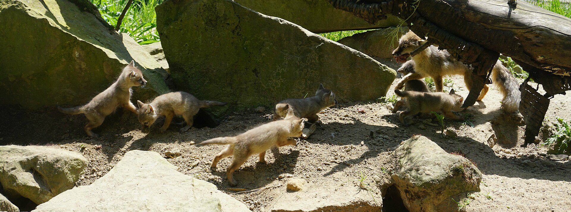 Tierpark Recklinghausen – Bild 2