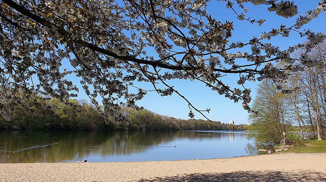 Öjendorfer Park – Bild 1