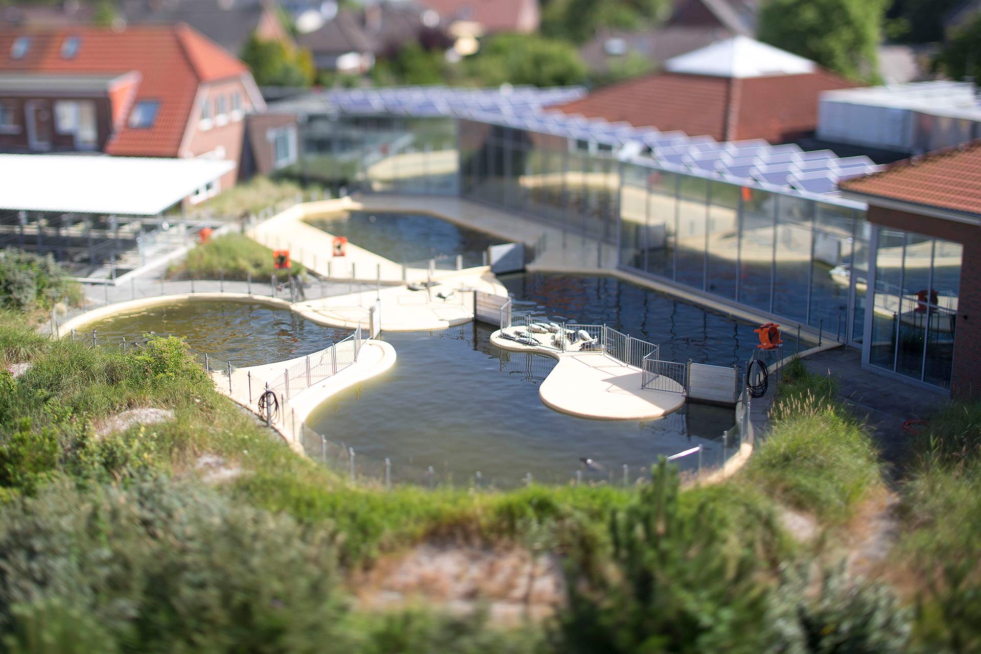 Seehundstation Nationalpark-Haus – Bild 1