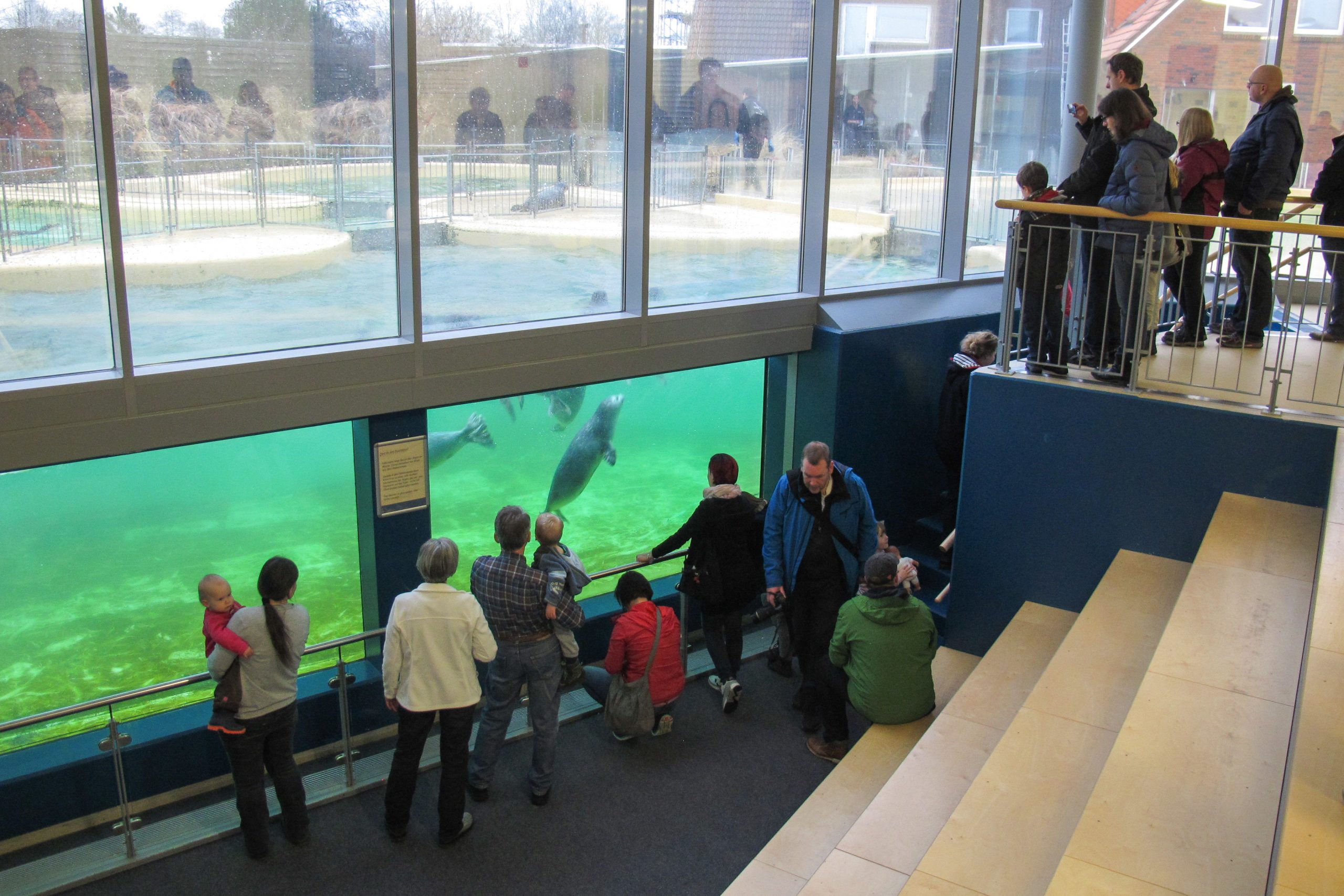 Seehundstation Nationalpark-Haus – Bild 3