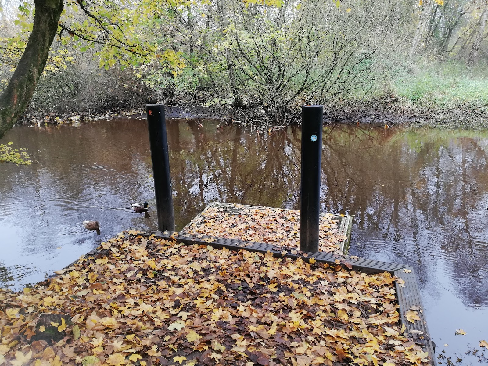 Krückaupark – Bild 5