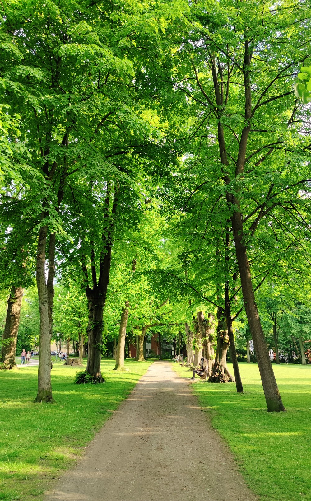 Drosteipark – Bild 2