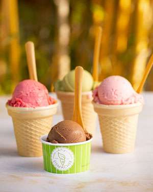 Eismacher Brunn am Gebirge – Bild 3