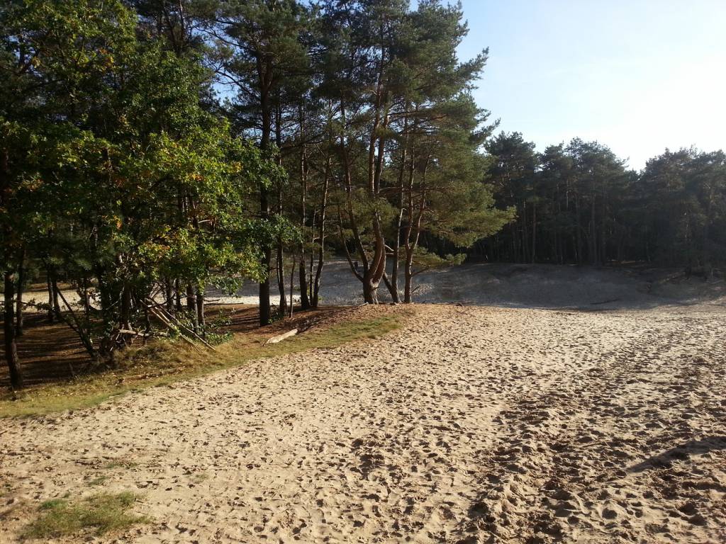 Warwer Sand – Bild 1