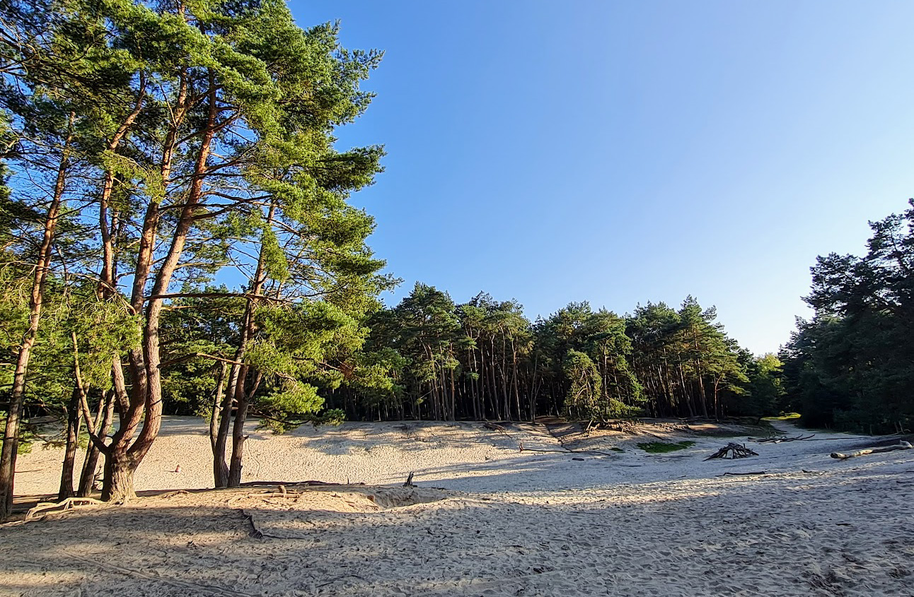 Warwer Sand – Bild 2