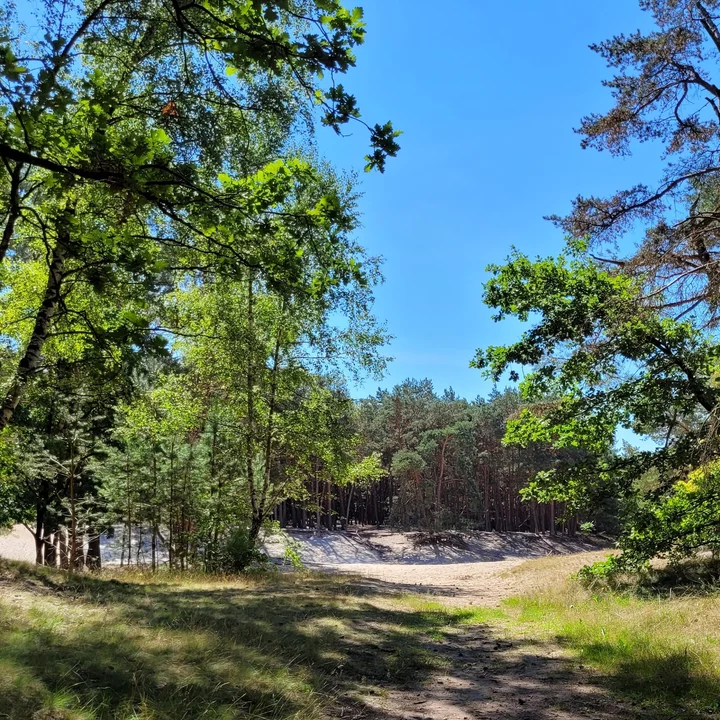 Warwer Sand – Bild 4