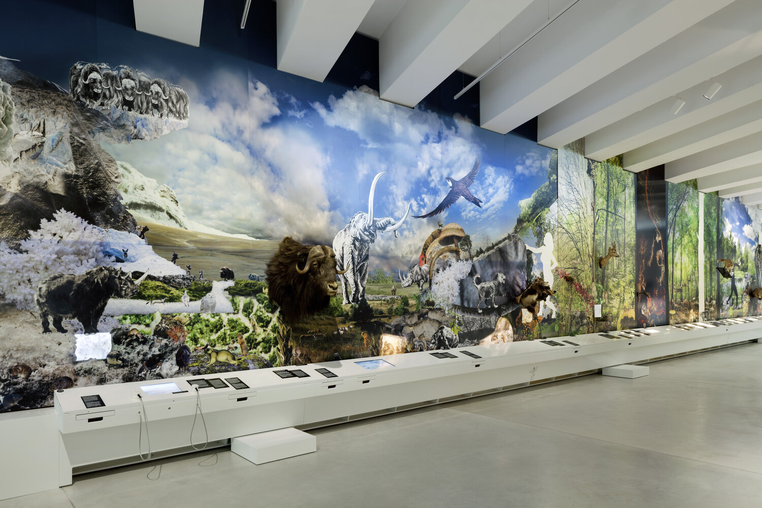 paläon Forschungsmuseum – Bild 4