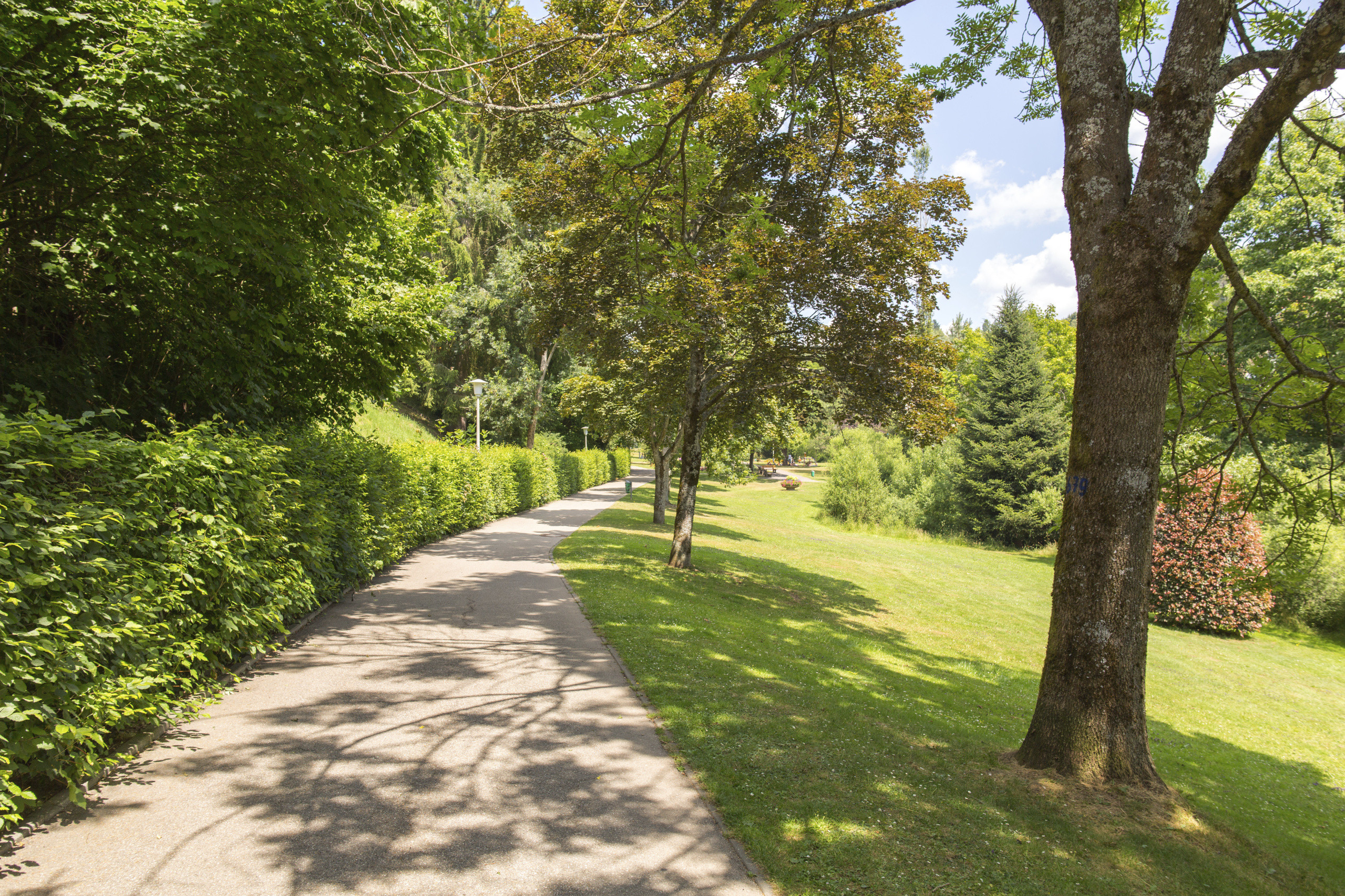 Kurgarten Neustadt – Bild 2