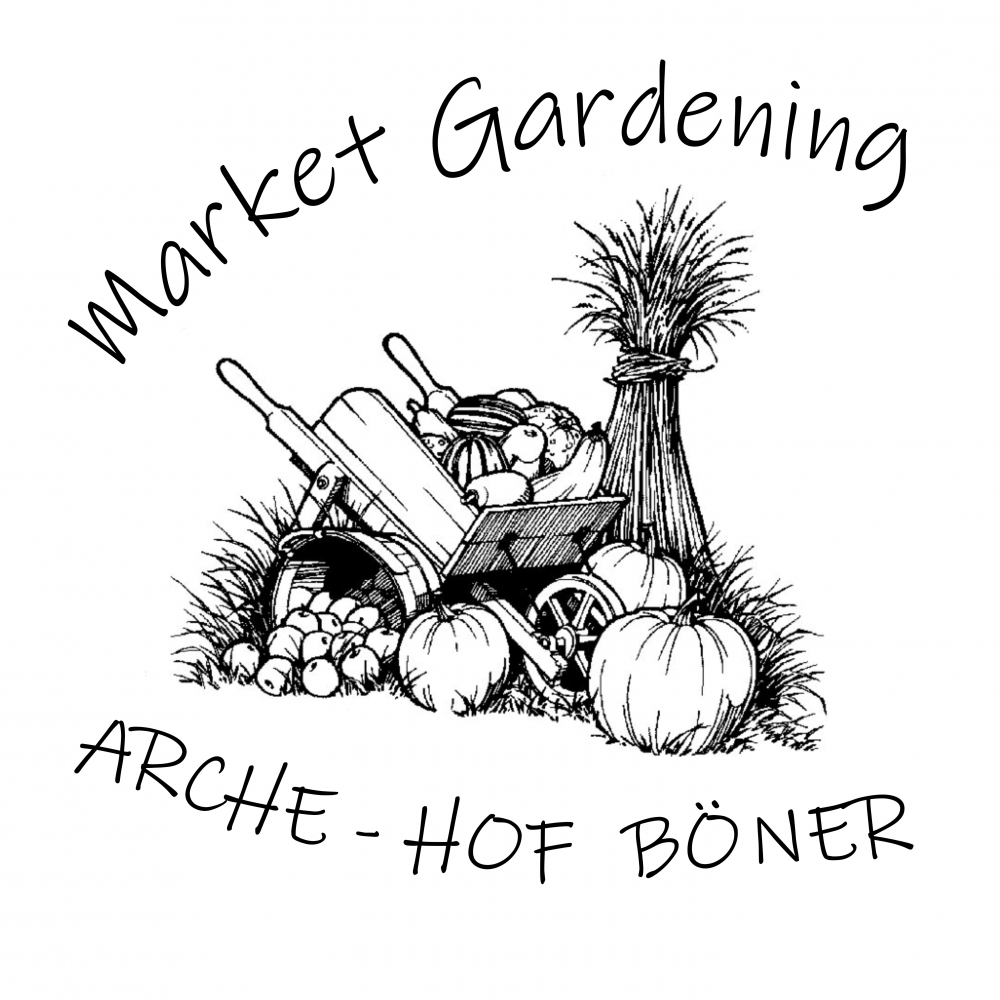 Arche-Hof Böner Market Gardening – Bild 2