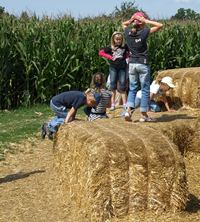 Abenteuerspielplatz Eschberg – Bild 2