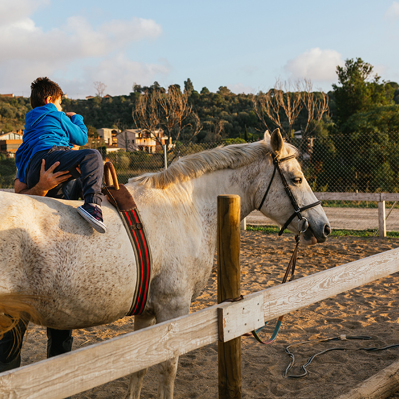 Reiterstüble Bad Friedrichshall / Kochendorf Familie Bachmayer – Bild 4