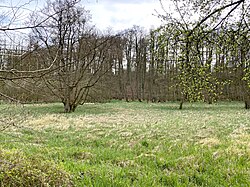 Wiembachaue – Bild 2