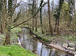 Wiembachaue – Bild 3