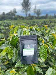 Kahawa Café and Roastery – Bild 2