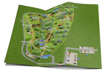 Wildpark Gangelt – Bild 5