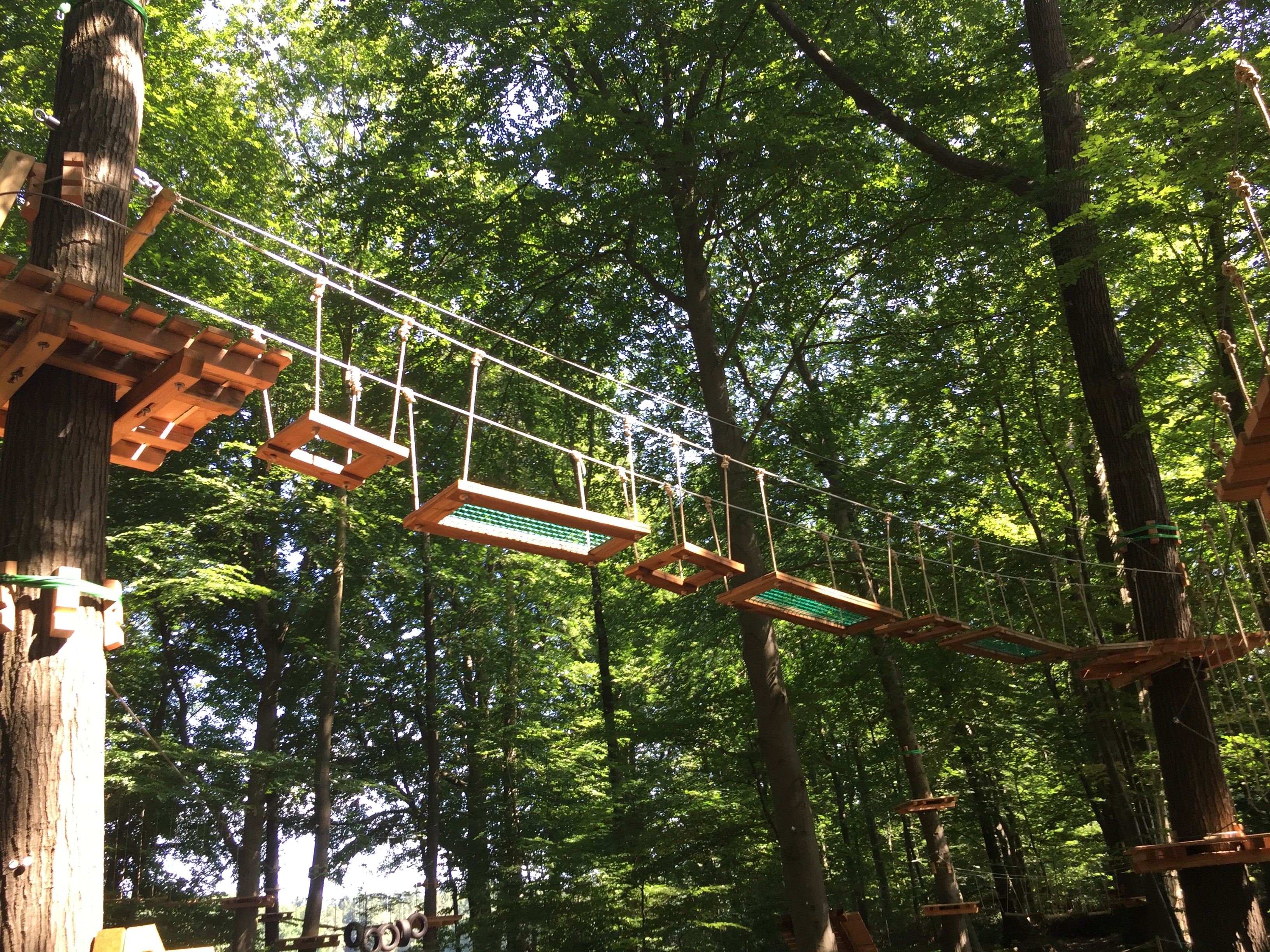 Kletterwald Sögel – Bild 3