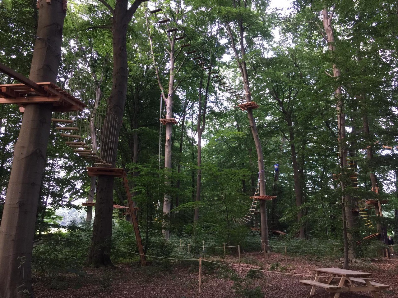 Kletterwald Sögel – Bild 4