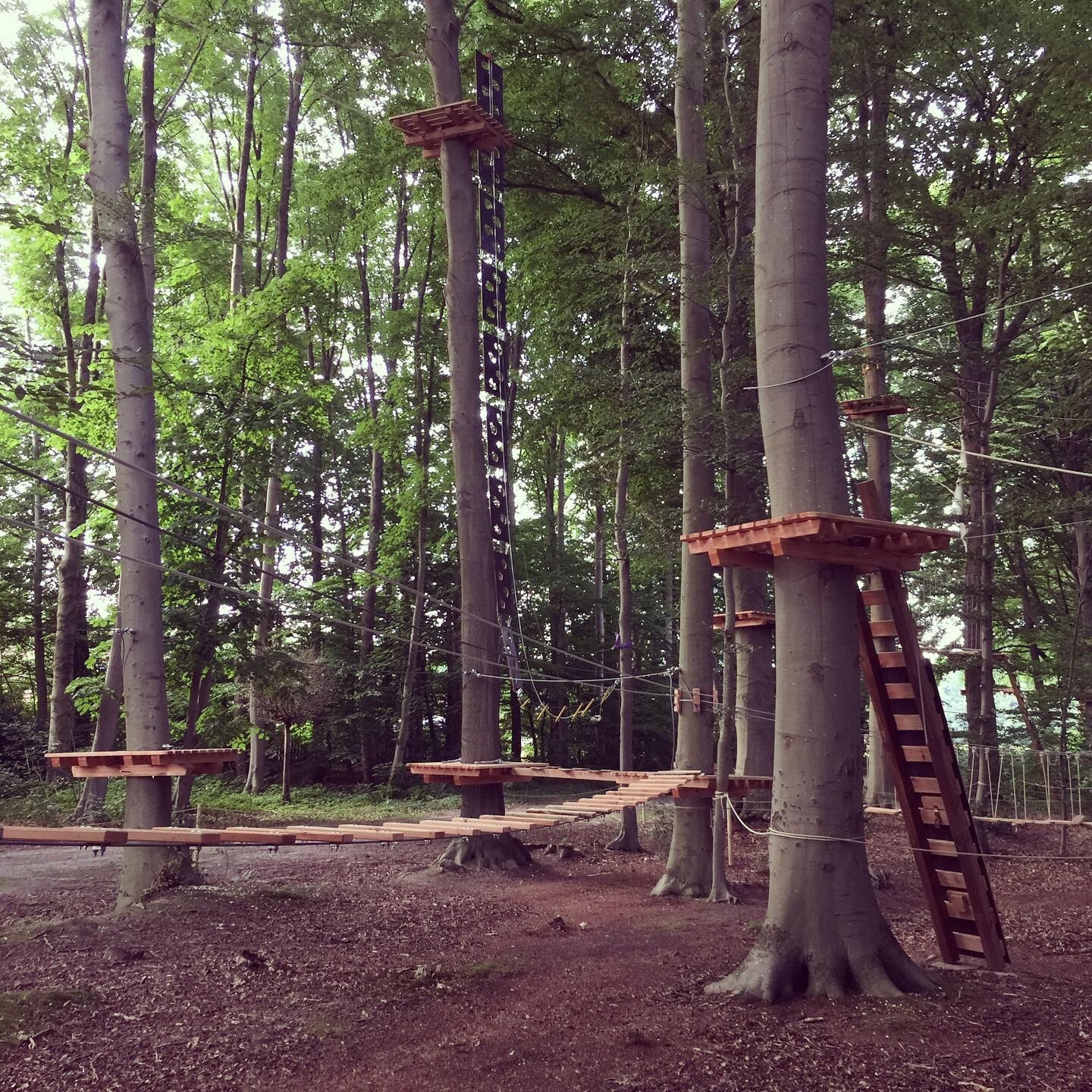 Kletterwald Sögel – Bild 6