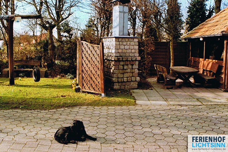 Ferienhof Lichtsinn - Enno Lichtsinn – Bild 4