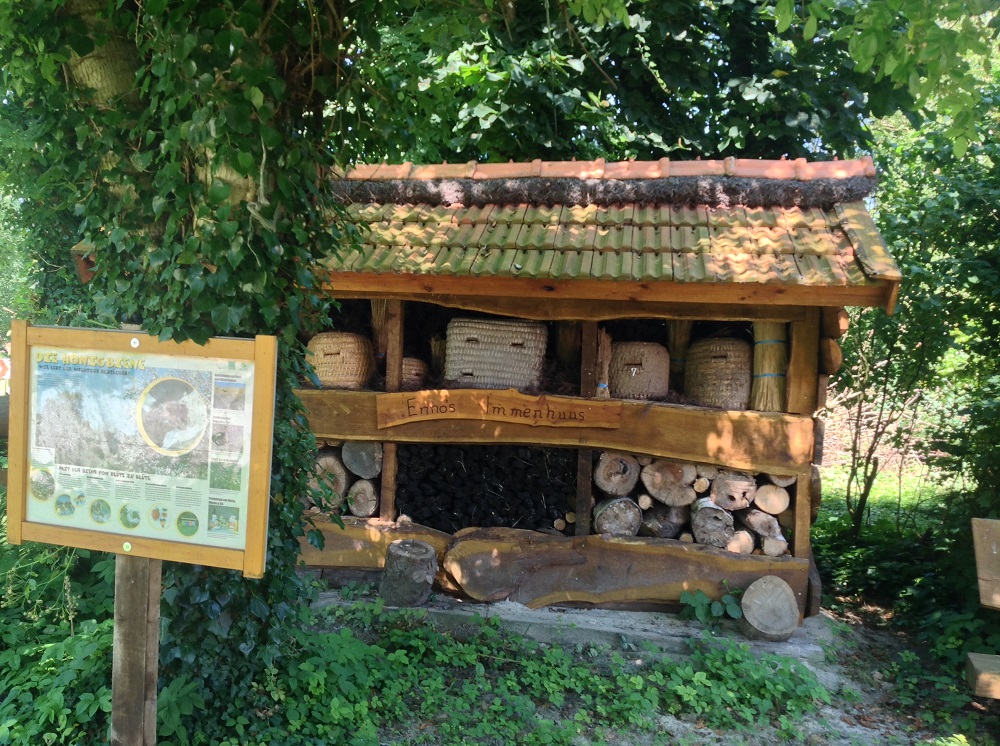 Ferienhof Lichtsinn - Enno Lichtsinn – Bild 5