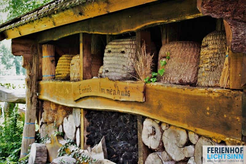 Ferienhof Lichtsinn - Enno Lichtsinn – Bild 6