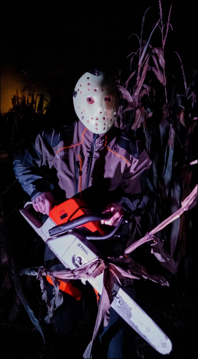 Maislabyrinth Liederbach – Bild 2