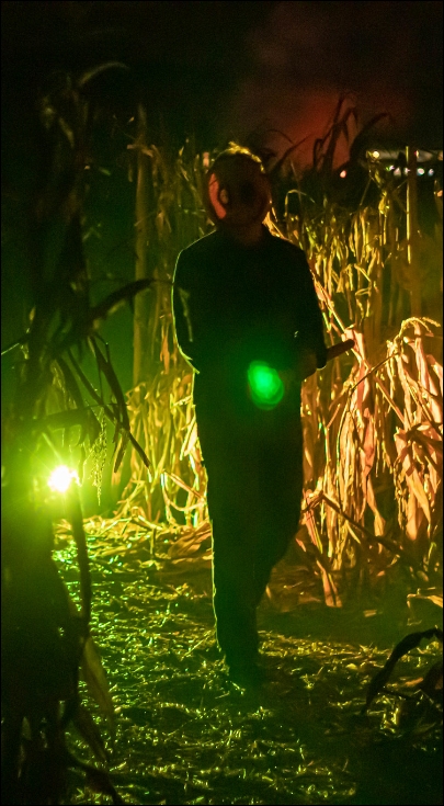 Maislabyrinth Liederbach – Bild 3