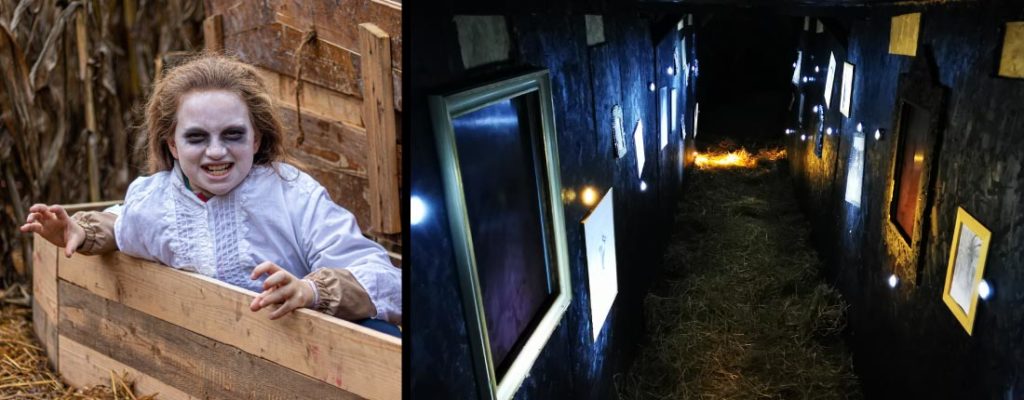 Maislabyrinth Liederbach – Bild 6