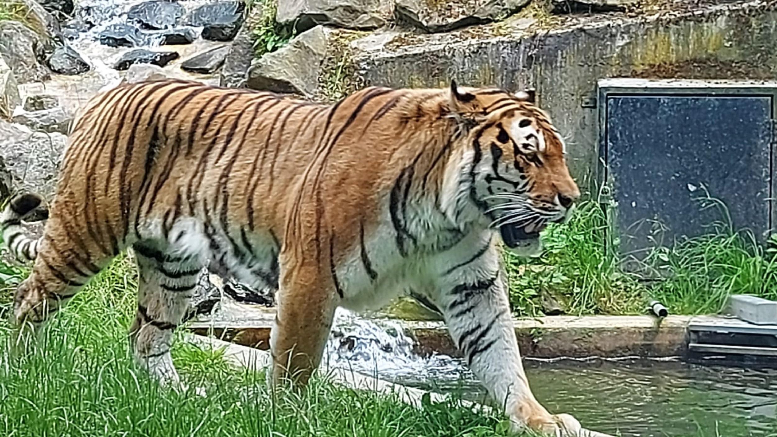 Zoo Neuwied – Bild 5