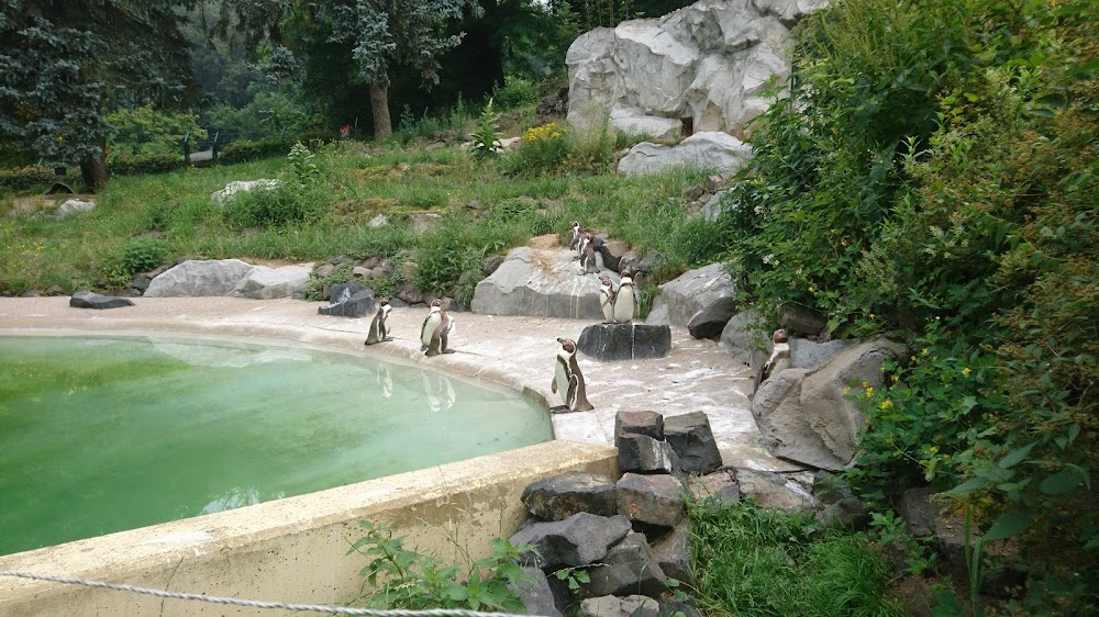 Zoo Neuwied – Bild 6