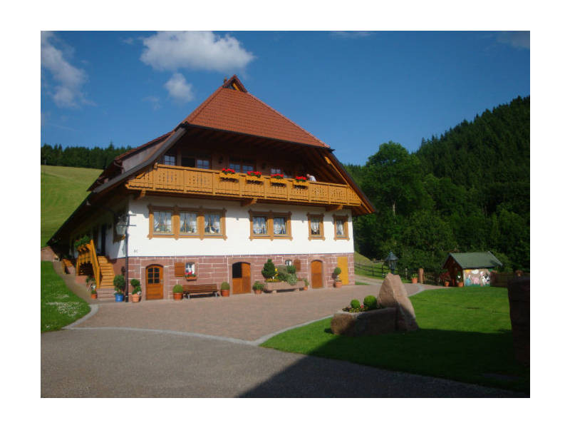 Fußbauernhof - Daniel Schmid – Bild 4