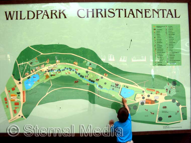 Wildpark Wernigerode Christianental – Bild 6