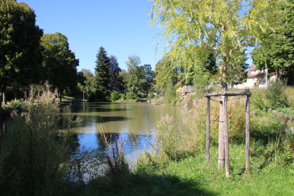 Eisweiher Neustadt im Schwarzwald – Bild 2