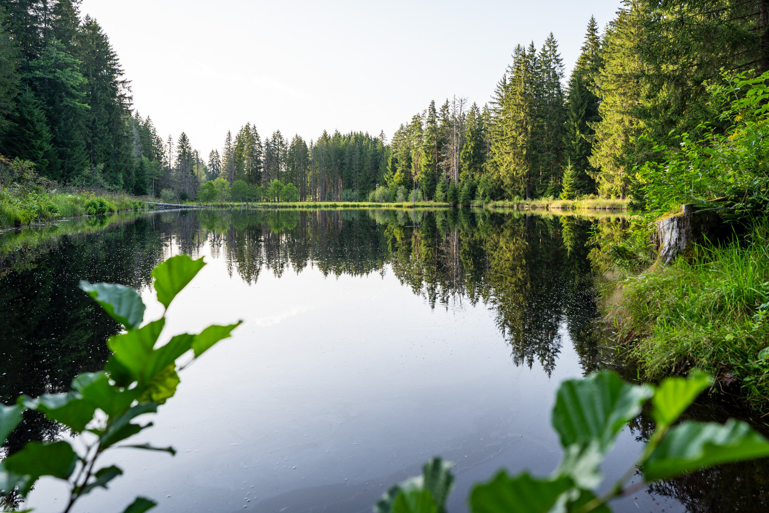 Eisweiher Neustadt im Schwarzwald – Bild 3