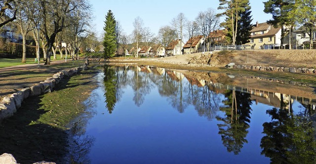 Eisweiher Neustadt im Schwarzwald – Bild 4