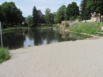Eisweiher Neustadt im Schwarzwald – Bild 5