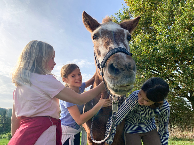 JuKiBa Speckenhof – Bild 4