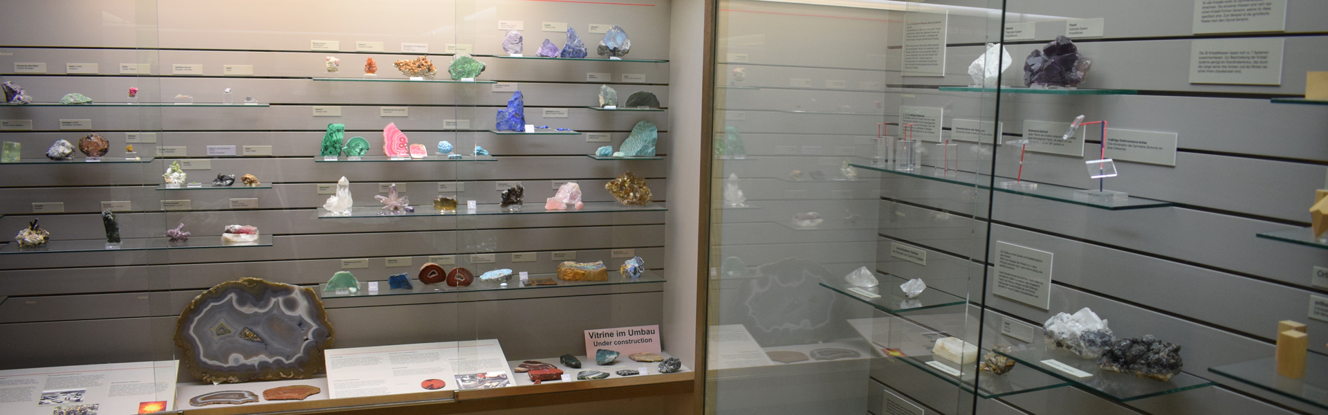 Naturkunde-Museum Coburg – Bild 4