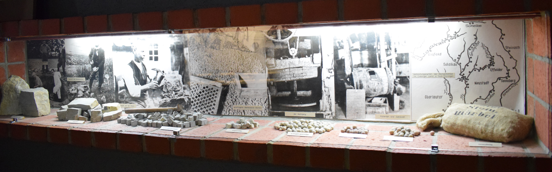 Naturkunde-Museum Coburg – Bild 5