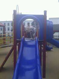 Hardy Park Children's Play Structure – Bild 5