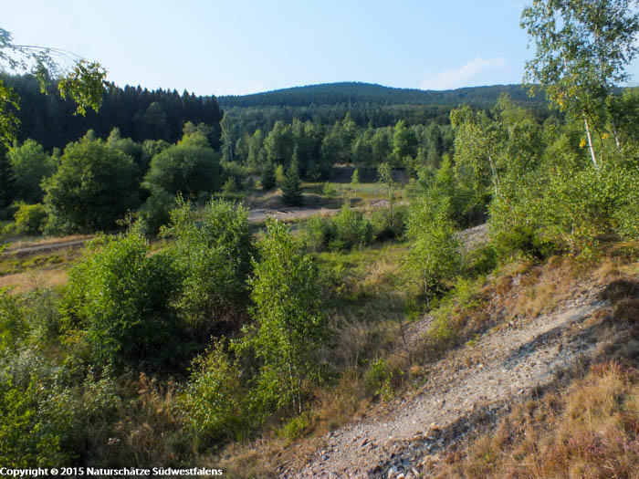 Alte Sandgrube Littfeld – Bild 1