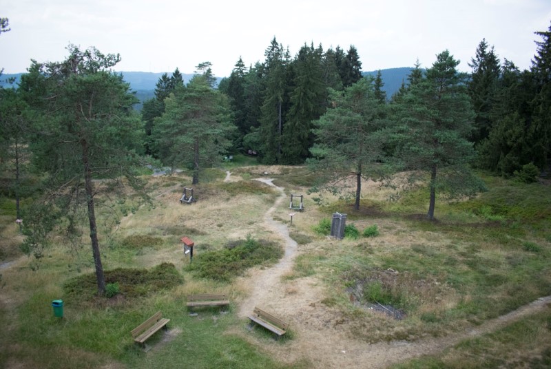 Alte Sandgrube Littfeld – Bild 3