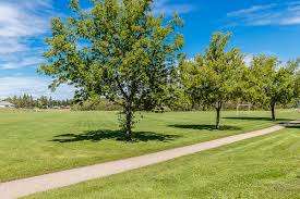 James Anderson Park – Bild 5