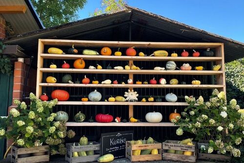 Dümptener Bauernhof - Hof in der Beeck – Bild 2