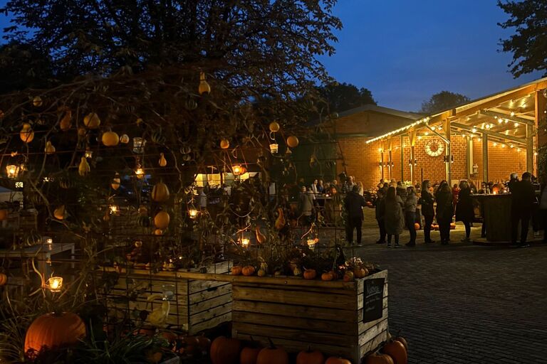 Dümptener Bauernhof - Hof in der Beeck – Bild 5