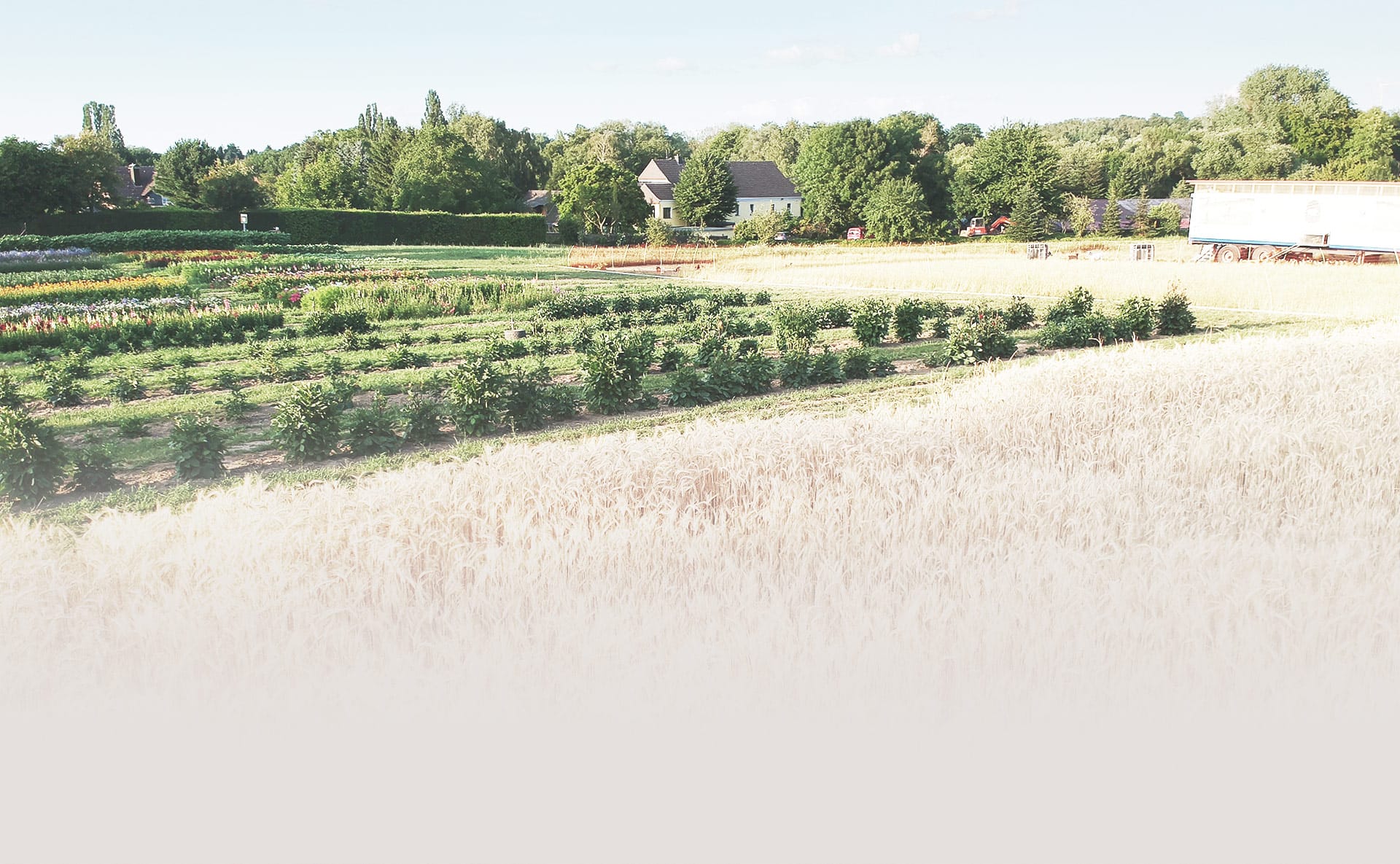 Dümptener Bauernhof - Hof in der Beeck – Bild 6