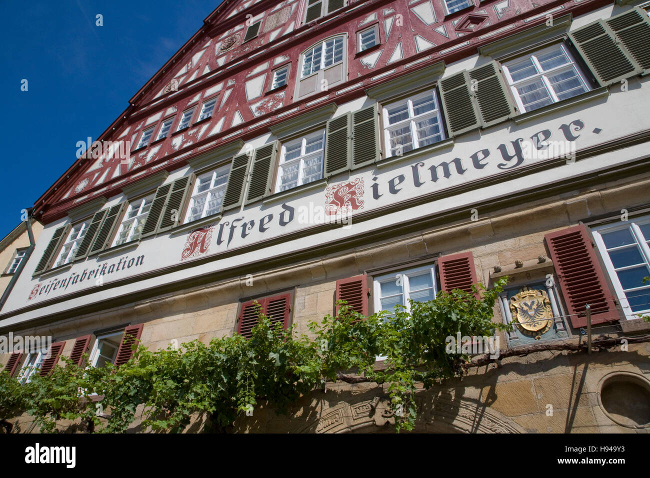 Spitalkelter – Bild 3