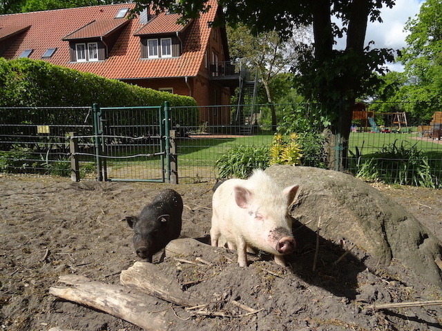 Ramakers Hof – Bild 2