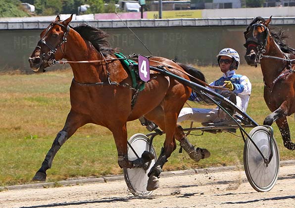 GelsenTrabPark e.V. – Bild 6